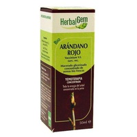 Mirtilo Macerado Glicerinado 50 ml - Herbalgem