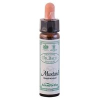 mostarda n ° 21 10 ml - Ainsworths Flower Remedy