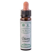n ° 8 Chicória 10 ml - Ainsworths Flower Remedy