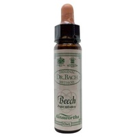 n ° 3 Beech 10 ml - Ainsworths Flower Remedy