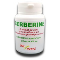 Berberina e zinco 450 mg 120 cápsulas de 450mg - Vitalosmose