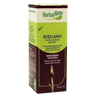 Avelã Macerada Glicerinada 50 ml - Herbalgem
