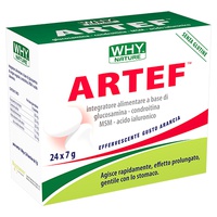 Artef 24 saquetas de 168g - WHYnature