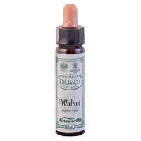 n ° 33 Walnut 10 ml - Ainsworths Flower Remedy