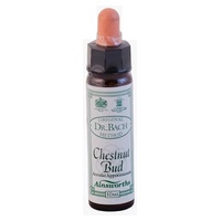 castanha n ° 7 10 ml - Ainsworths Flower Remedy