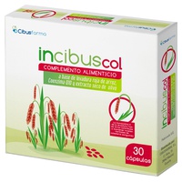 Incibuscol 30 cápsulas - Cibusfarma