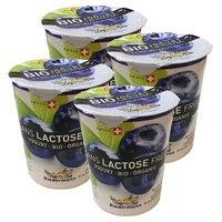 Pacote de iogurte orgânico sem lactose de mirtilo 4 unidades - Biedermann