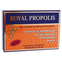 Real Própolis 20 ampolas de 10ml - Nutrition Concept