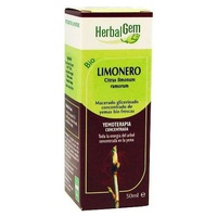 Limão macerado glicerinado 50 ml - Herbalgem