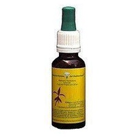 Vara de Ouro 20 ml - E.F.Mediterraneo