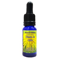 10 x Taraxacum (Dente de Leão) 15 ml - Phytovit