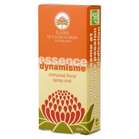 Spray Oral Composto Floral Dinamismo 20 ml de elixir floral - Love System Bush