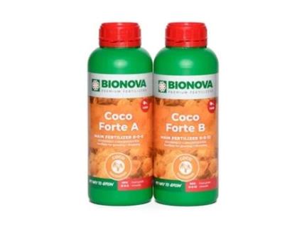 Coco Forte a + B