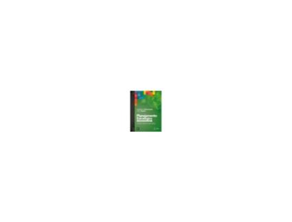 Livro Planejamento Estratégico da Intenção aos Resultados 4/20 [LS] de Chiavenato; Sapiro (Brasileiro)