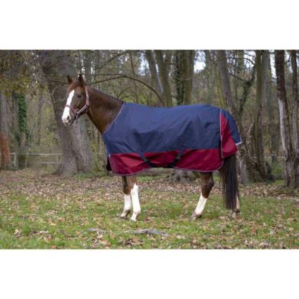 Equitheme Tyrex 1200 D Polyfil 50g Standard Stable Rug  213 cm