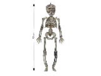 Esqueleto Pendurante Topbrands 30cm