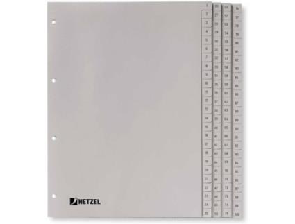 Separador  721311 Cinzento (A4 - 22,6 x 29,7 cm)