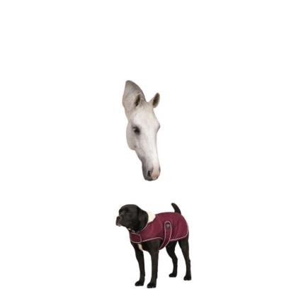 Diego & Louna Teddy Polar Dog Rug  31 cm