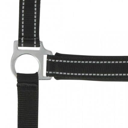 Norton Equestrian Reflective Halter Cinzento Full