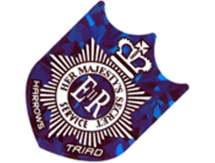 Penas de Dardos HARROWS DARTS (Multicor)