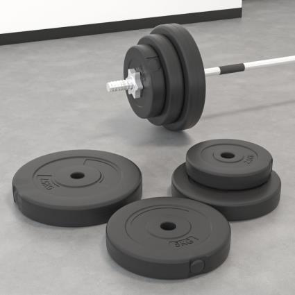 vidaXL Discos de musculação 6 pcs 30 kg cimento