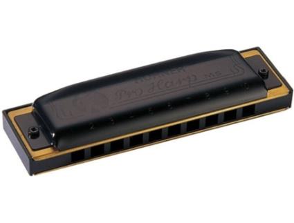Harmónica  Pro Harp 562-20 Mi (E)