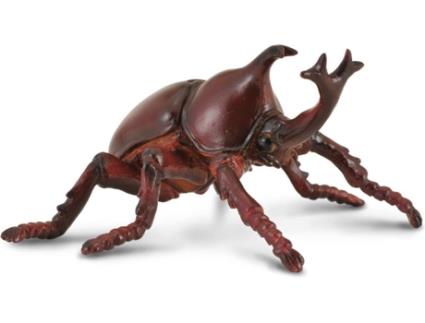 Figura  Rhinoceros Beetle