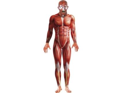 Fato de Homem  Músculos Segunda Pele (Tam: L)