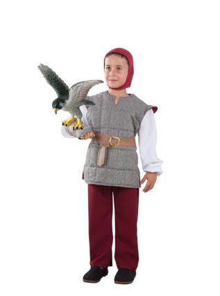 Fato de Falcão Cinzento para menino multicor 6a