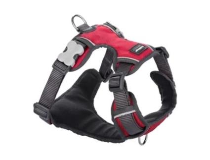 Peitoral RED DINGO (Multicor - - M)