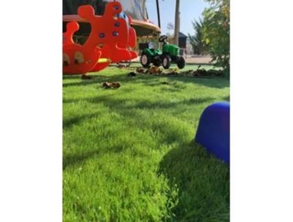 Relva Sintética COMERCIAL CANDELA (1x3m - Polipropileno - Verde)