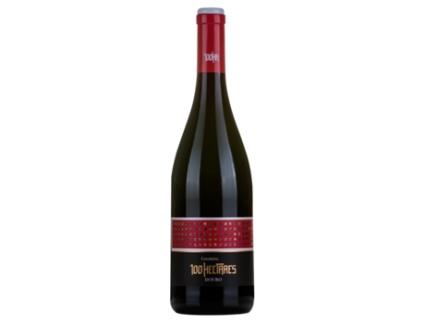 Vinho Tinto 100 Hectares Colheita