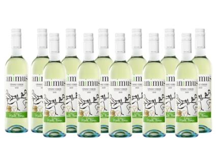 Pack 12 Garrafas Vinho Verde Animus