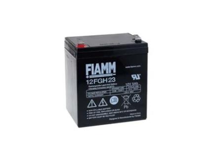 Bateria FIAMM HOCHSTROM-TYP para FGH20502