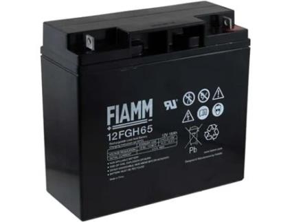 Bateria FIAMM HOCHSTROM-TYP para 12FGH65