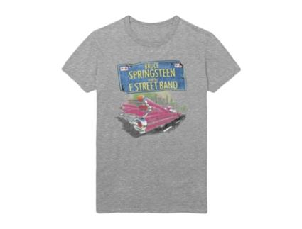 T-shirt BRUCE SPRINGSTEEN (M - Cinzento)