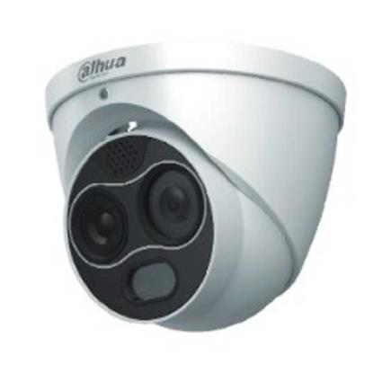 Dahua Dhi-tpc-df1241-b3f4-dw-s2 Security Camera Full Hd Prateado
