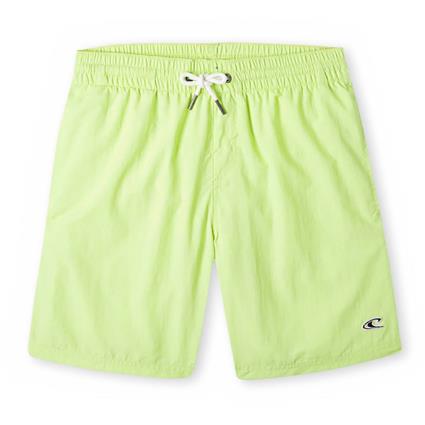 O´neill N4800001 Vert 14 Boy Swimming Shorts Verde 7-8 Years Rapaz