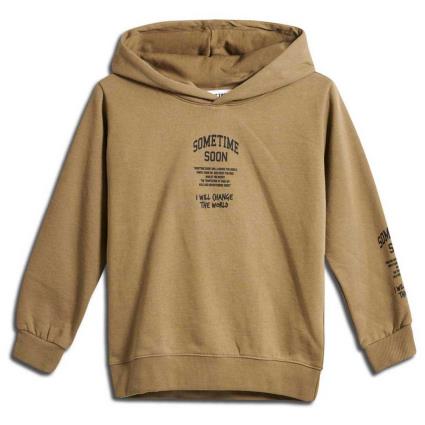 Hummel Dimas Hoodie Castanho 5 Years Rapaz