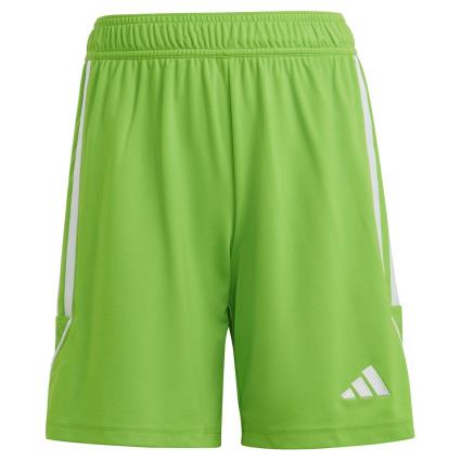 Adidas Tiro 23 Shorts Verde 5-6 Years Rapaz