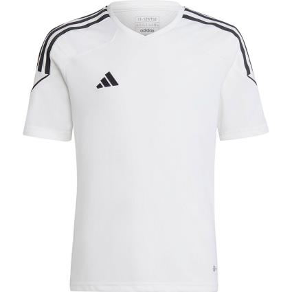 Adidas Tiro 23 Short Sleeve T-shirt Branco 5-6 Years Rapaz