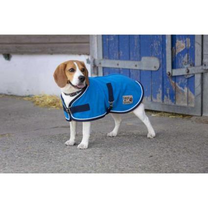 Diego & Louna Polyfun Dog Rug Azul 26 cm