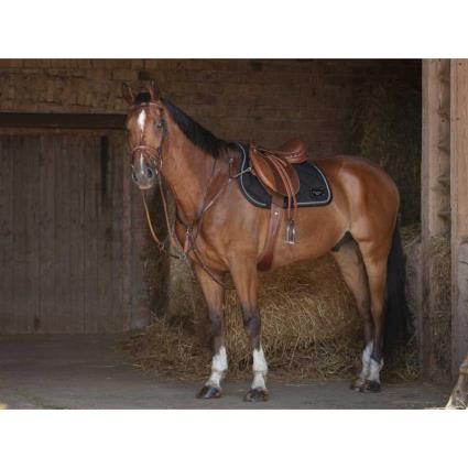 Eric Thomas Hybrid Breastplate Castanho Cob