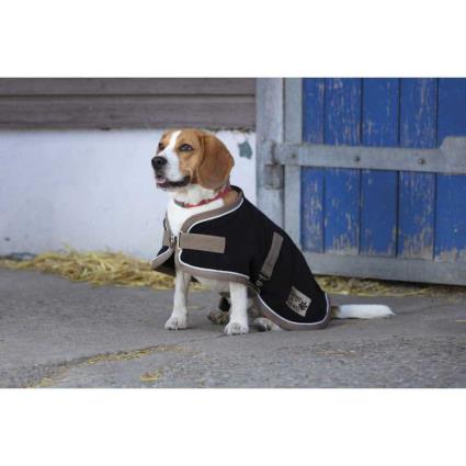 Diego & Louna Polyfun Dog Rug Colorido 46 cm