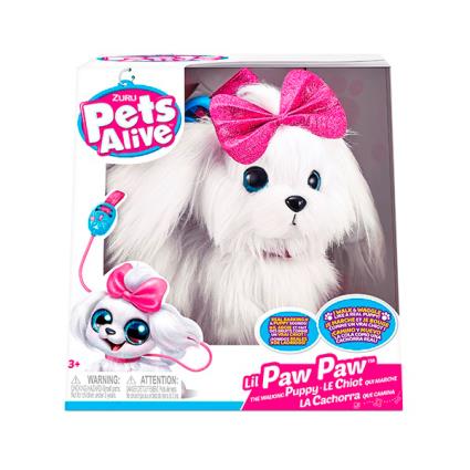 Cão de Passeio Pets Alive