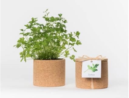 Vaso  Grow Cork Pot Salsa