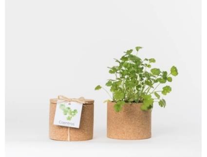 Vaso  Grow Cork Pot Coentros