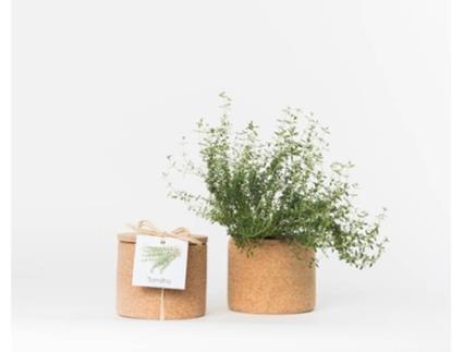 Vaso  Grow Cork Pot Tomilho