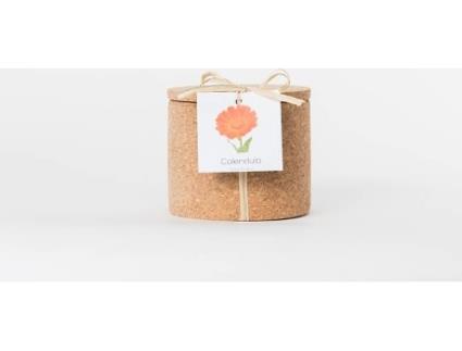 Vaso  Grow Cork Pot Calêndula