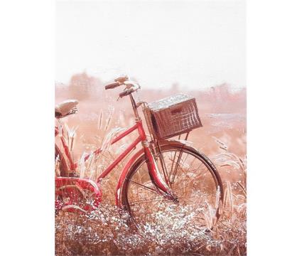 PINTURA ORIGINAL BICYCLE - Conforama